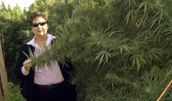 Fresno Sheriff Margaret Mims stands beside a 12-foot tall marijuana plant in Fresno County on Sept. 22. (Photo by Fresno County Sheriff's Office/AP